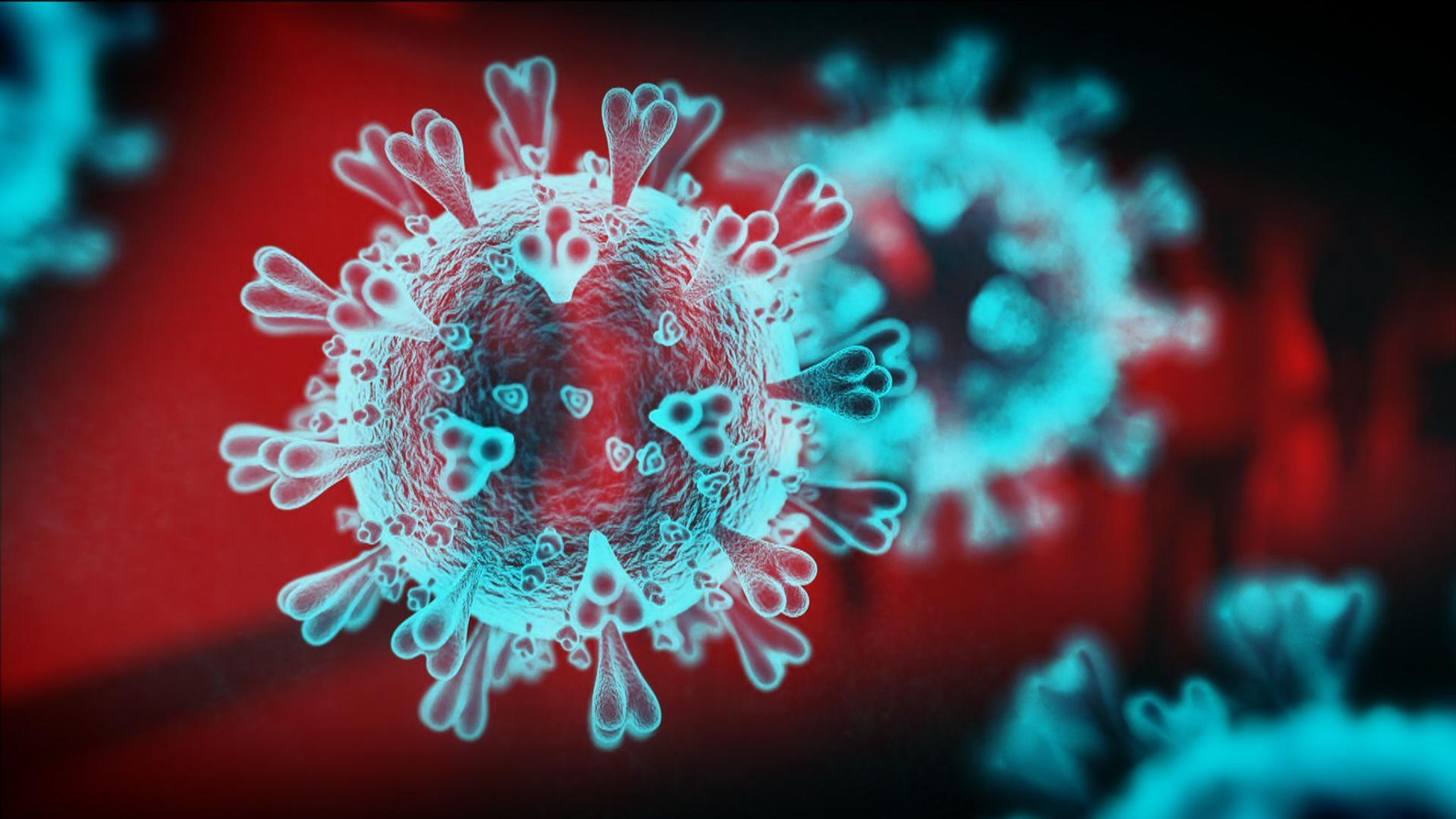 Ученые создали смесь из самых эффективных антител против коронавируса