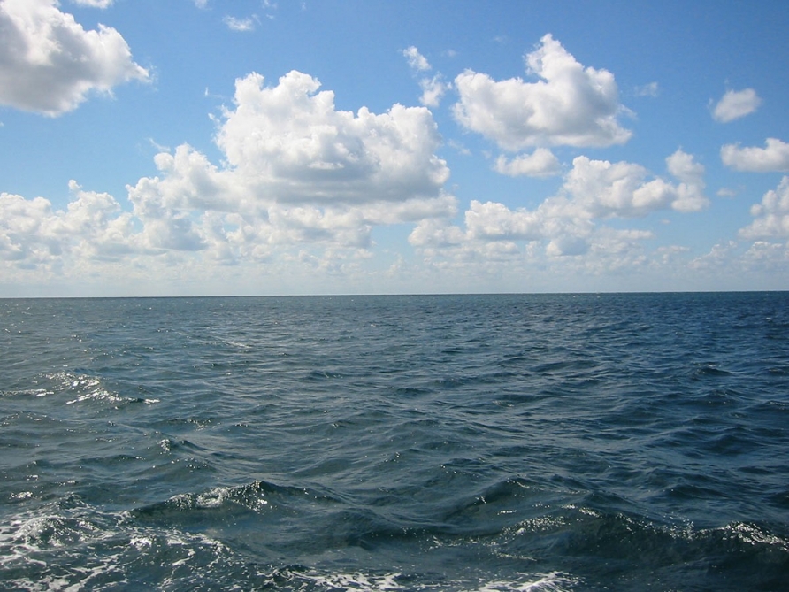 Proposals on the use of Caspian Sea water to be conducted