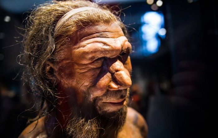 Scientists have figured out why humans did not inherit the powerful muscles of the Neanderthals