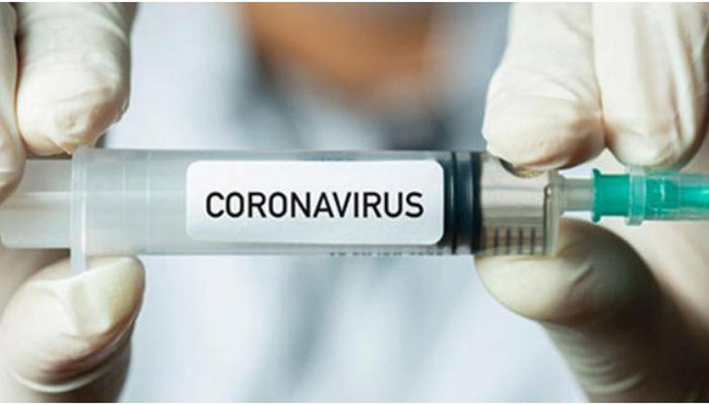 Antibodies found in everyone who completed the full course of vaccination against coronavirus in the Vector Center