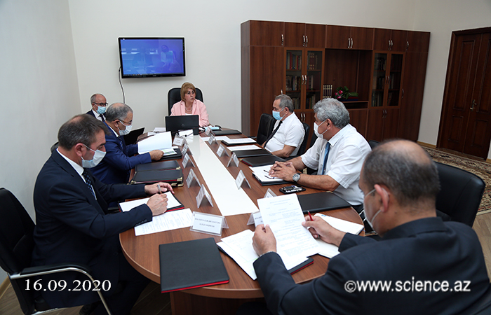 An online meeting of the Scientific Council of the Division of Biological and Medical Sciences was held