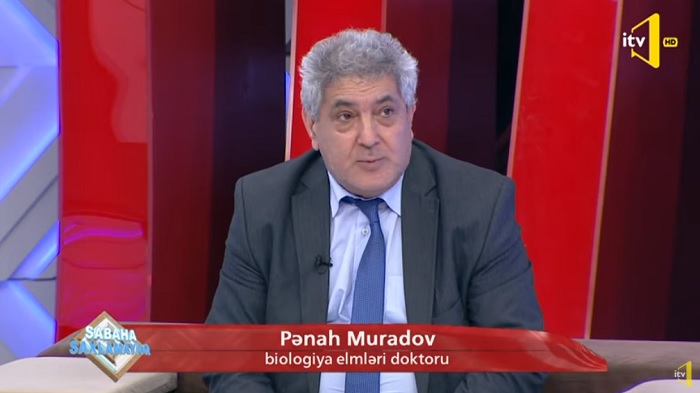 Mikrobioloq alim İctimai TV-də koronavirusun yeni mutasiyasından danışıb