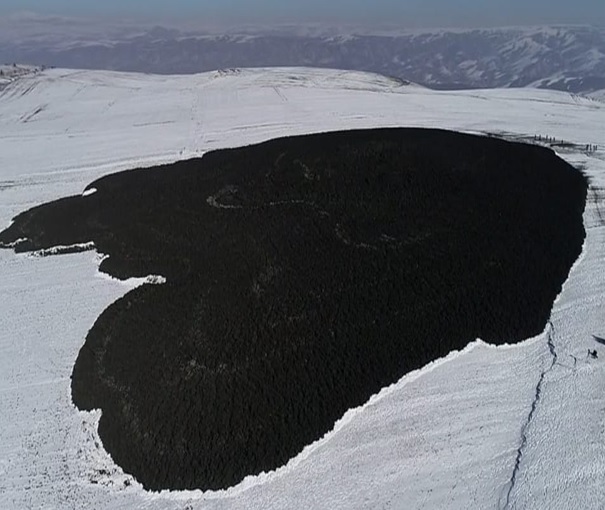 Geoloq alimlər Quşçu palçıq vulkanının ərazisində tədqiqatlar aparıblar