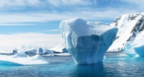 Alimlər: Buzsuz Arktika dünyanı fəlakətlə təhdid edir
