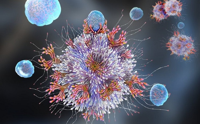 A method has been found that allows you to destroy the coronavirus in a second