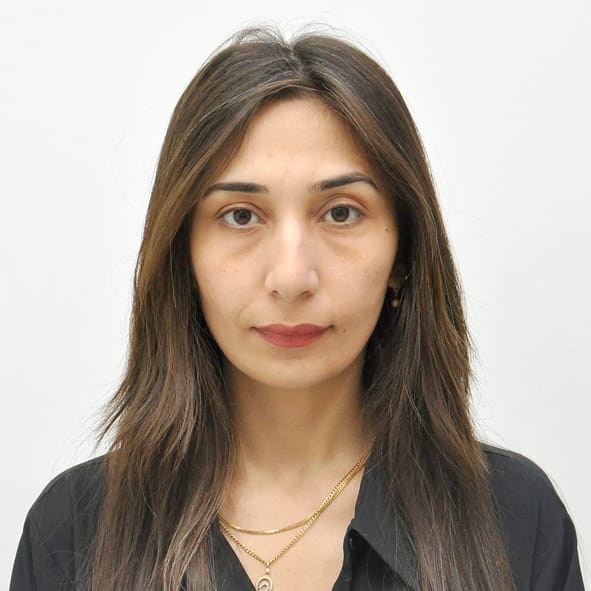 Dilin sərhədi dövlətin sərhədidir: qloballaşma dövründə Azərbaycan dilinin milli təhlükəsizlik konsepti