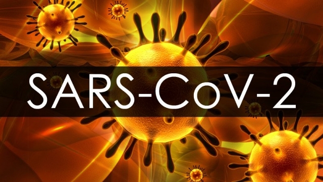 Çin tədqiqatçıları SARS-CoV-2-yə qarşı nanomaterial hazırlayıblar