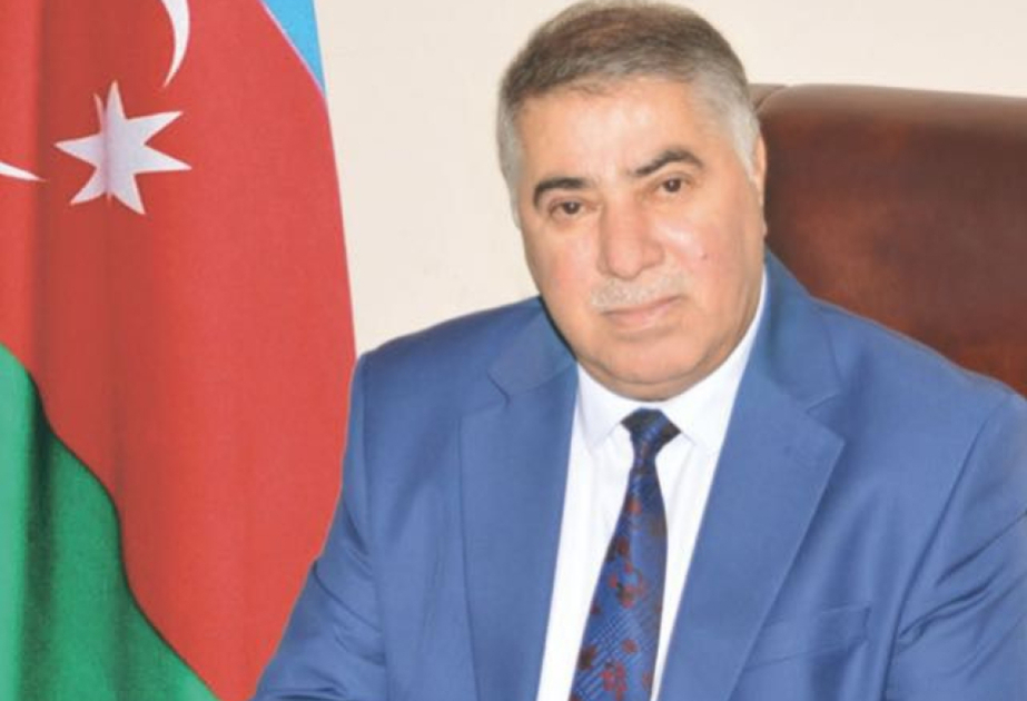 Azərbaycan dili  və dövlət siyasəti: müasir çağırışlar və ana dilinin qorunması