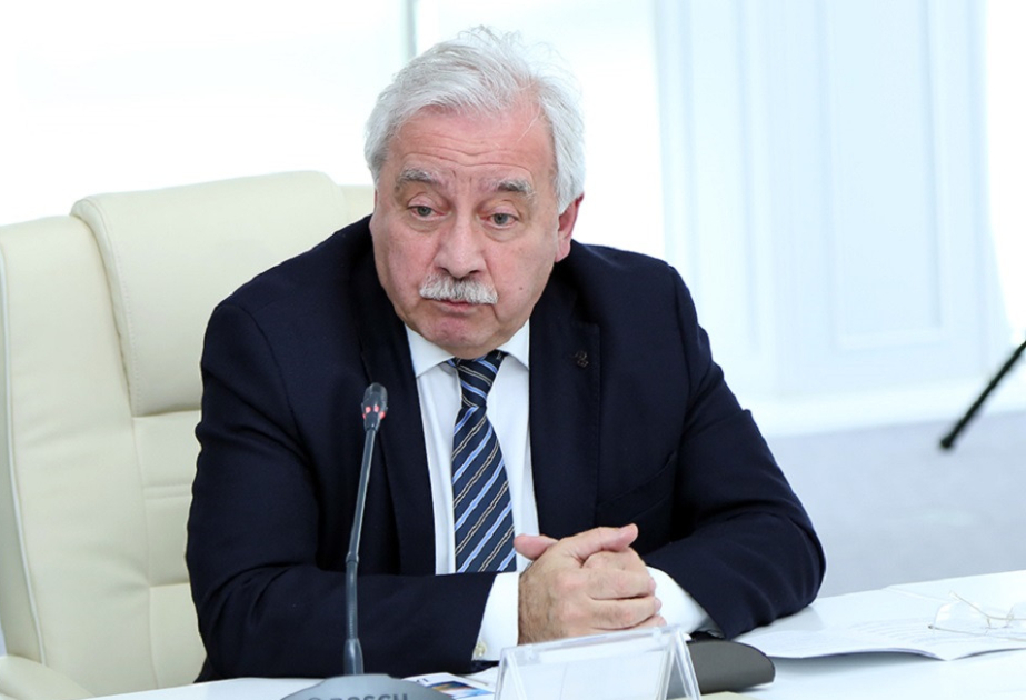 Professor İlham Məmmədzadə: Bakı zəfəri Azərbaycan–Türkiyə qardaşlığının tarixi ifadəsidir