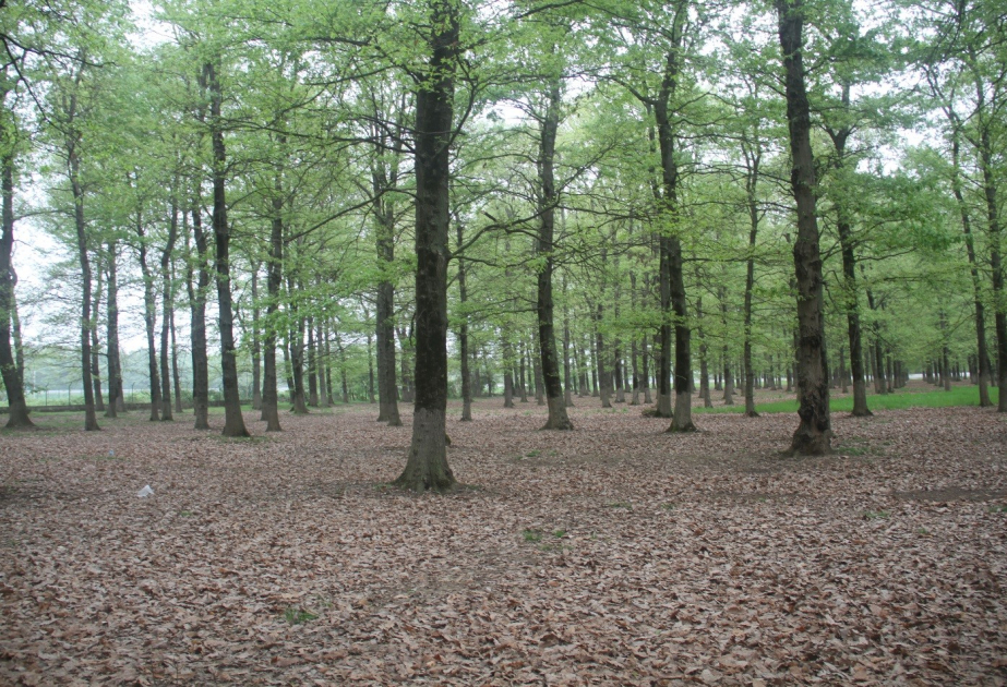 7524_1778654478.jpg