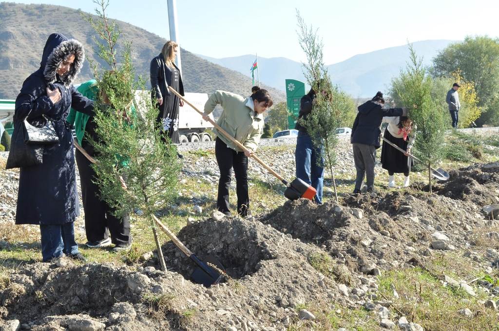 AMEA-nın Şəki Regional Elmi Mərkəzinin təşkilatçılığı ilə ağacəkmə aksiyası keçirilib