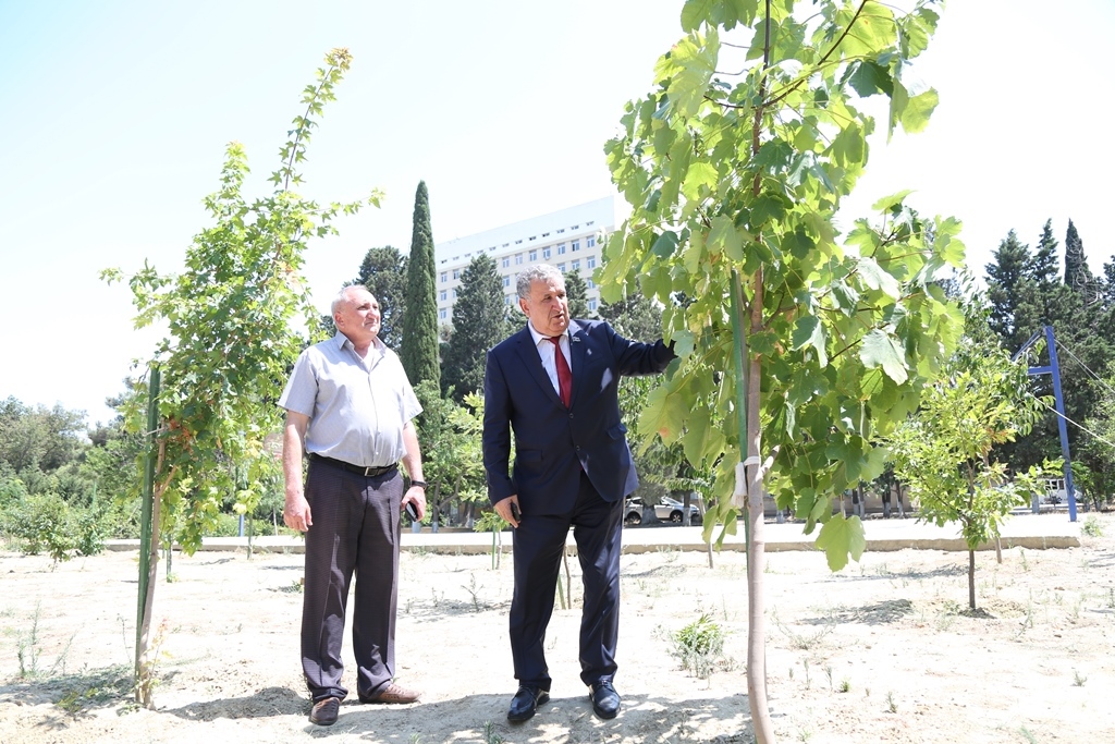 Academician Isa Habibbeyli has visited the Rare Trees Park