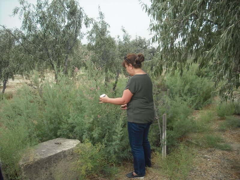 Zoologiya İnstitutunun əməkdaşları Qobustan rayonunda ekspedisiyada olublar