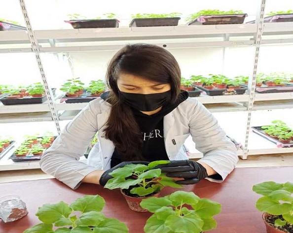 Molekulyar Biologiya və Biotexnologiyalar İnstitutunun əməkdaşı Türkiyədə elmi ezamiyyətdə olub
