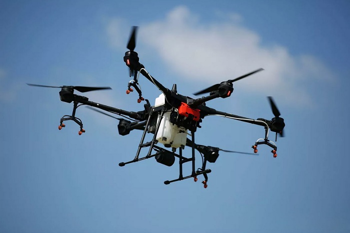 Dünyada ilk dəfə dronlar meşə salıb
