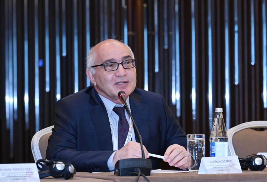 Professor: Dünya ölkələrinin tarixləri ilə müqayisədə Azərbaycanın inkişaf yolu olduqca mürəkkəb olub