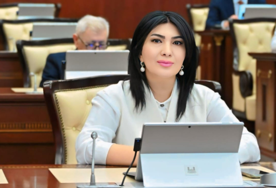 Ana dilimizin keşiyində: Heydər Əliyev siyasi kursunun uğurlu davamı