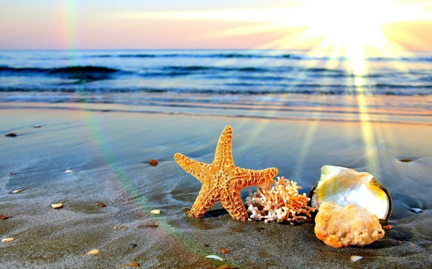 Azərbaycana yay fəsli gəlib