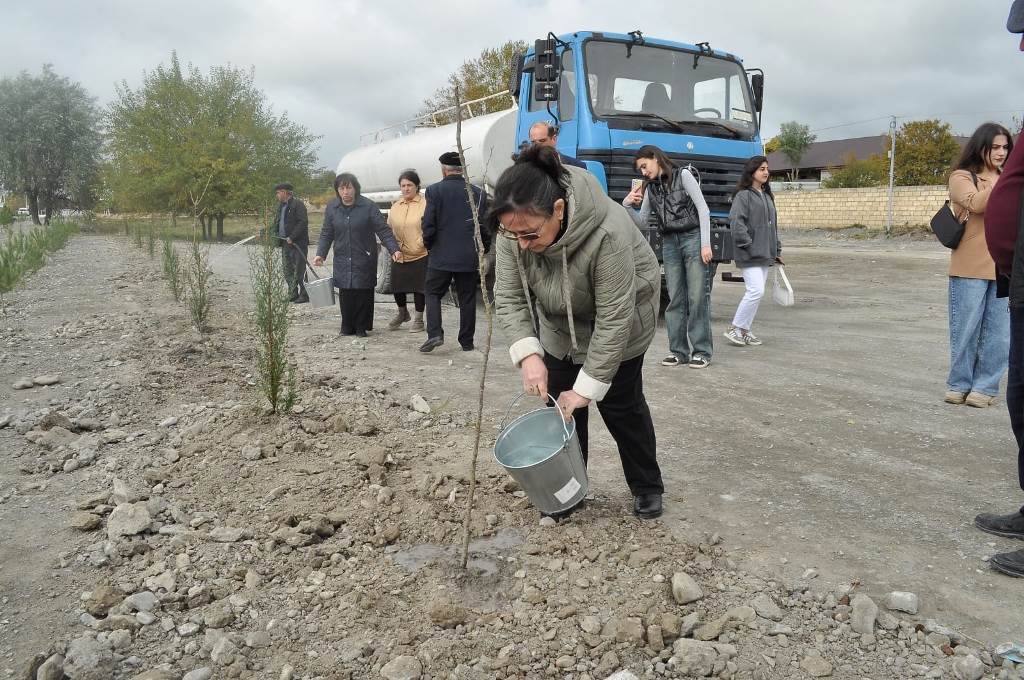 Şəkidə Zəfər Günü ilə əlaqədar ağacəkmə aksiyası keçirilib