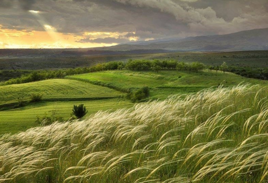 Yel çərşənbəsi: yaradıcı və dağıdıcı gücün mifoloji vəhdəti