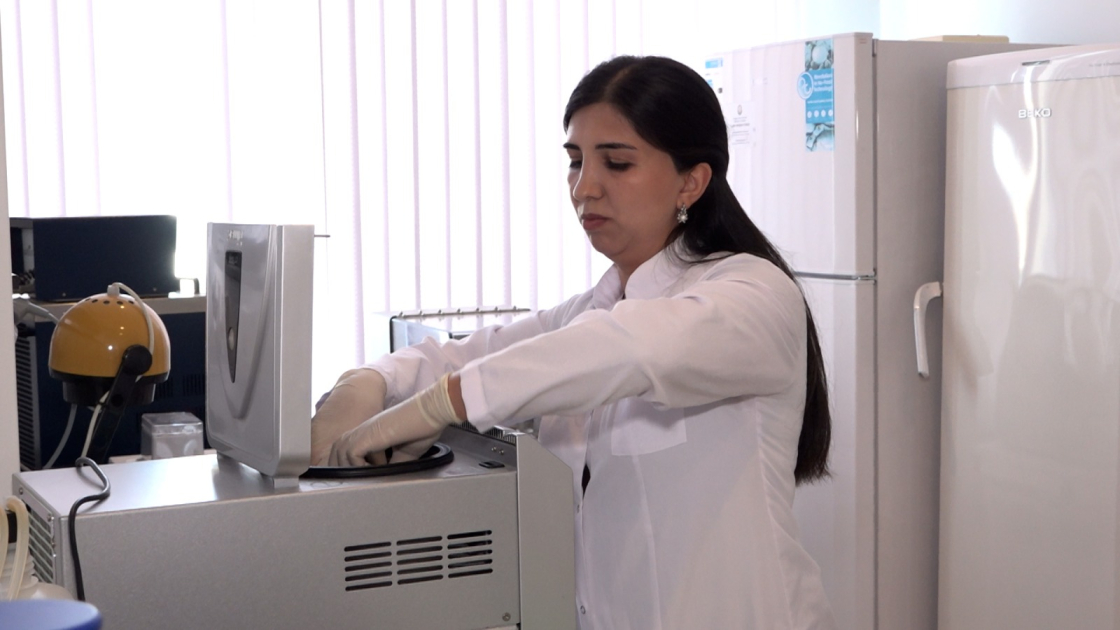 Bitkilərin quraqlıqdan müdafiə sistemləri müasir laboratoriya üsulları ilə öyrənilir