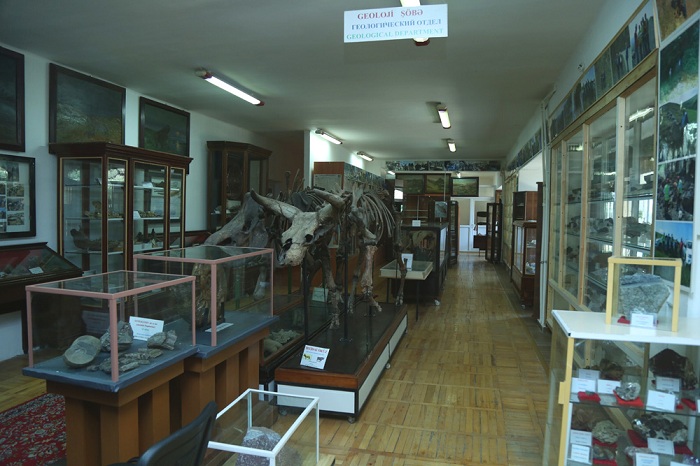 Генеральный директор Музея естественной истории: «Самым древним палеонтологическим материалам, хранящимся в музее, 350-400 миллионов лет»