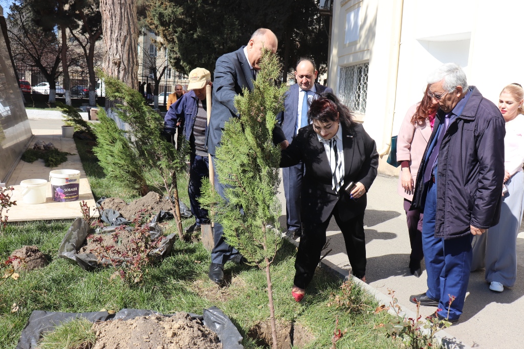 Dendrologiya İnstitutu ətraf mühitin yaşıllaşdırılmasına öz töhfəsini verir