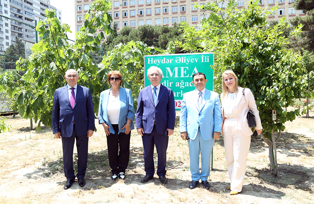 Albaniya Elmlər Akademiyasının nümayəndə heyəti AMEA-da olub