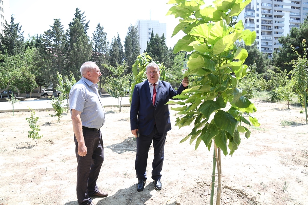 Academician Isa Habibbeyli has visited the Rare Trees Park