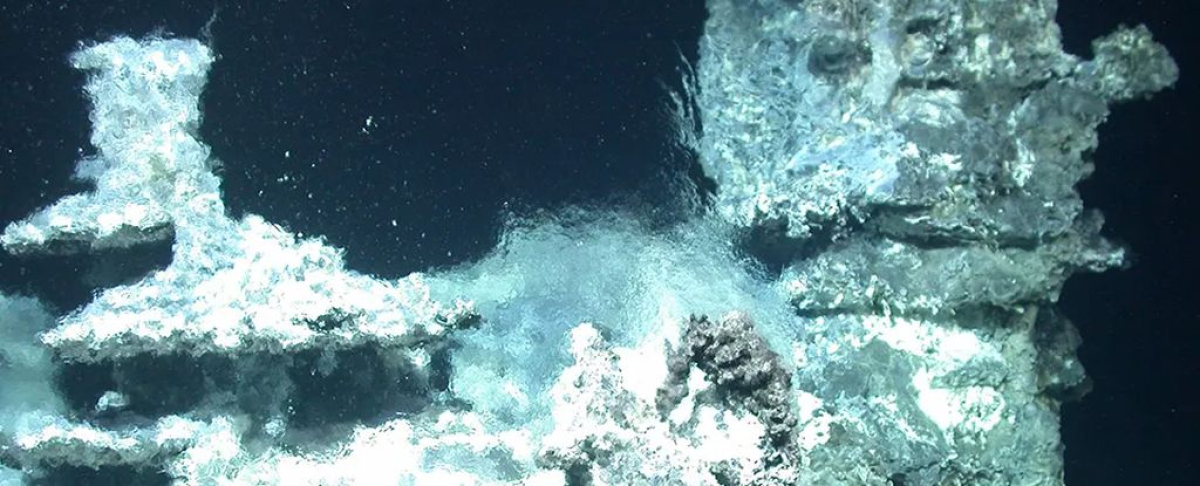 Okeanın dərinliklərində heyrətamiz hidrotermal mühit kəşf edilib