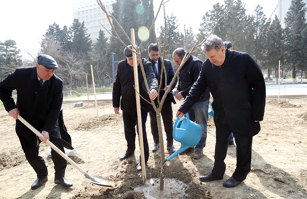 В рамках мероприятий в честь «Года Гейдара Алиева» в НАНА заложен Парк редких деревьев