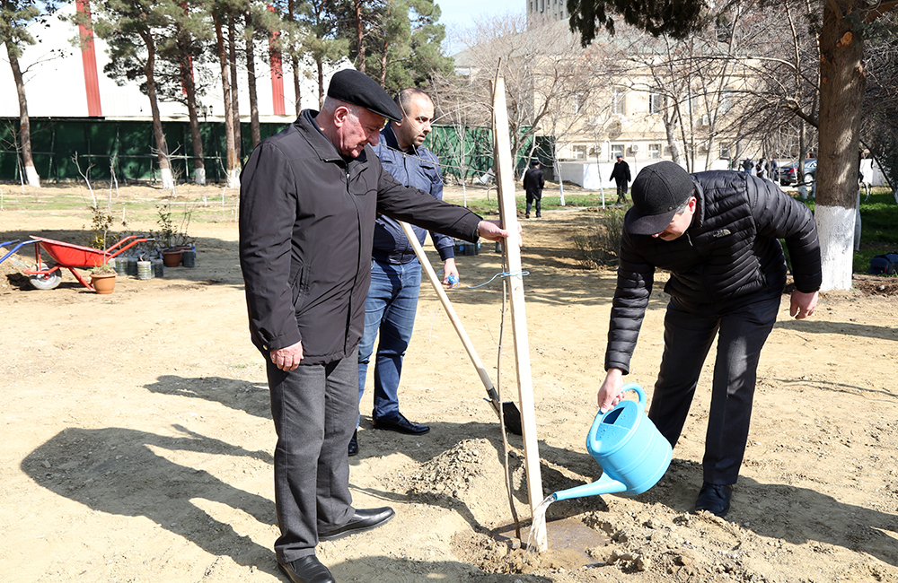 AMEA-da “Heydər Əliyev İli”nə töhfə olaraq Nadir ağaclar parkı salınıb