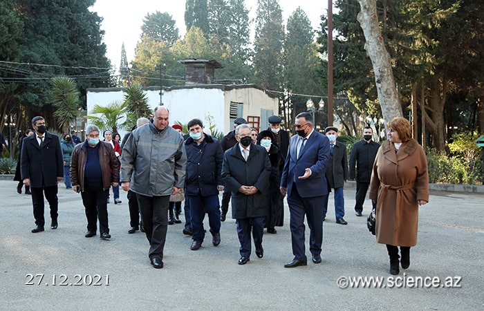 ANAS President, academician Ramiz Mehdiyev planted an oriental plane tree in the sycamore garden “Prezident Çinarlıgı”
