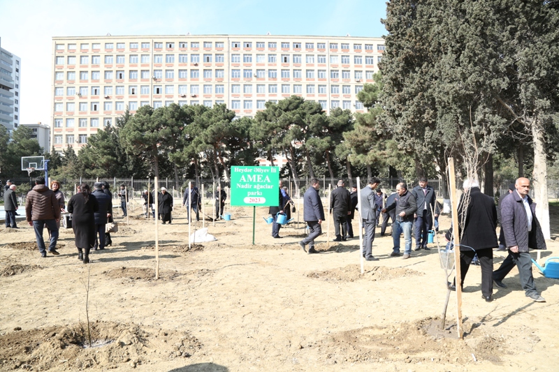 AMEA-da “Heydər Əliyev İli”nə töhfə olaraq Nadir ağaclar parkı salınıb