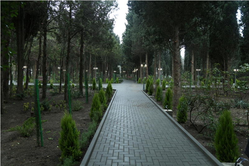 A tree planting campaign was held in the Central Botanical Garden in honor of the 60th anniversary of President Ilham Aliyev