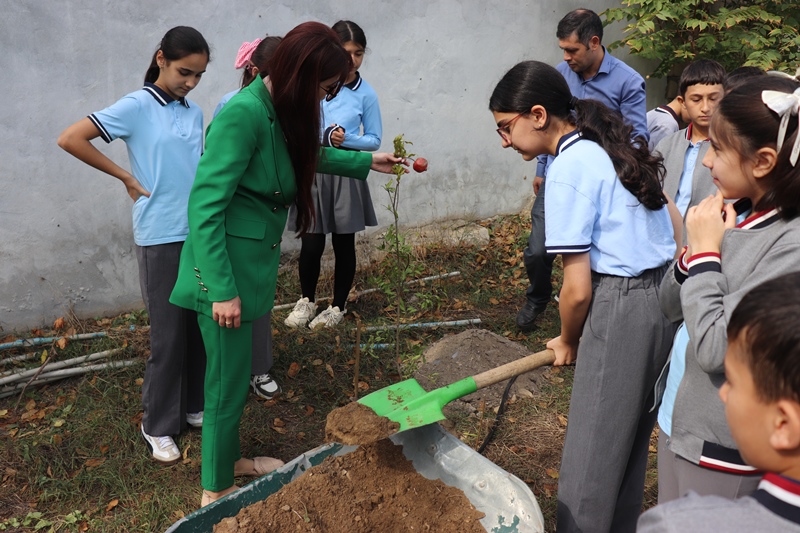“Təbiəti sev” adlı ağacəkmə aksiyası keçirilib