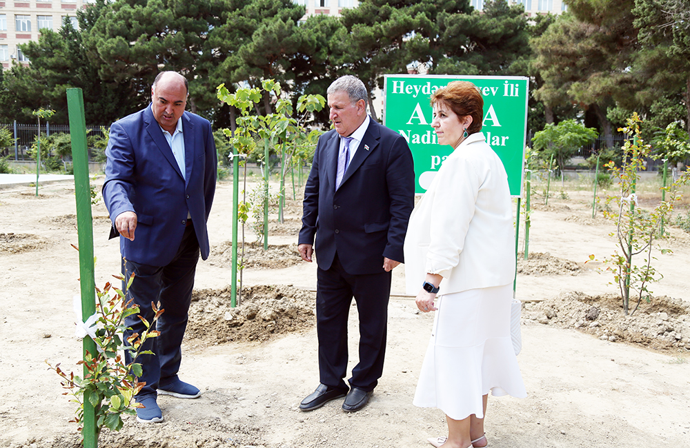 Президент НАНА провел осмотр Парка редких деревьев, заложенного в Академии наук с целью увековечения памяти Великого лидера