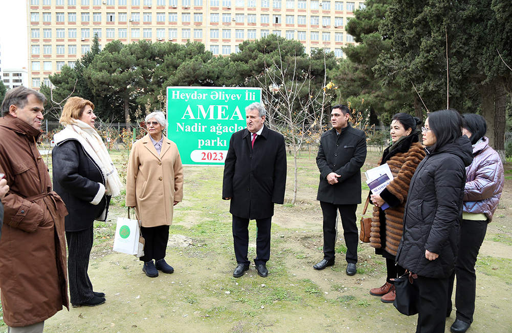 Participants of the international scientific conference took part in a tree-planting campaign at the Rare Trees Park of ANAS