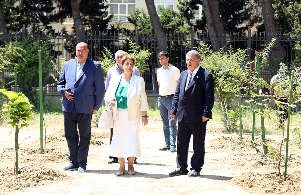 Президент НАНА провел осмотр Парка редких деревьев, заложенного в Академии наук с целью увековечения памяти Великого лидера