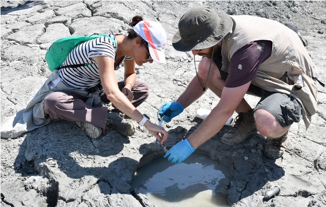 Beynəlxalq yay məktəbi iştirakçıları palçıq vulkanlarında geoloji-geokimyəvi tədqiqatlar aparıblar