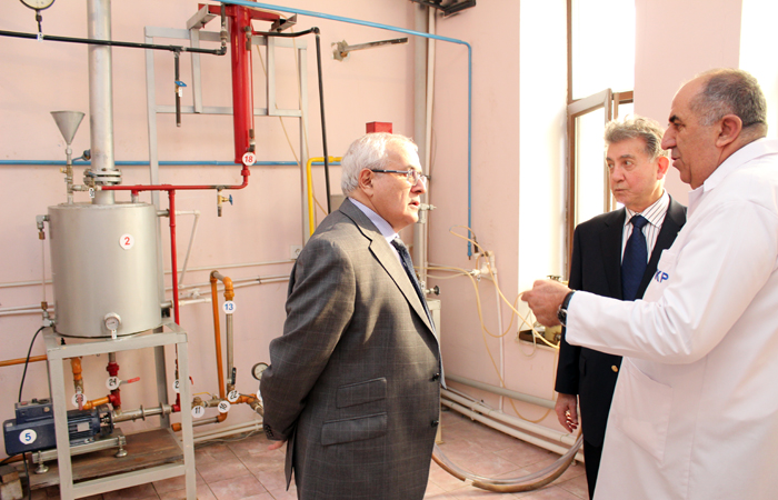ANAS directory visited the Institute of Petrochemical Processes