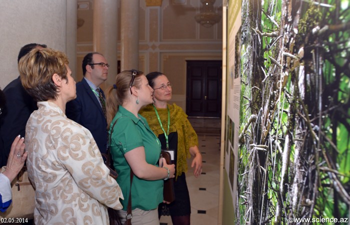 Состоялось открытие выставки «Зеленое сокровище Азербайджана»
