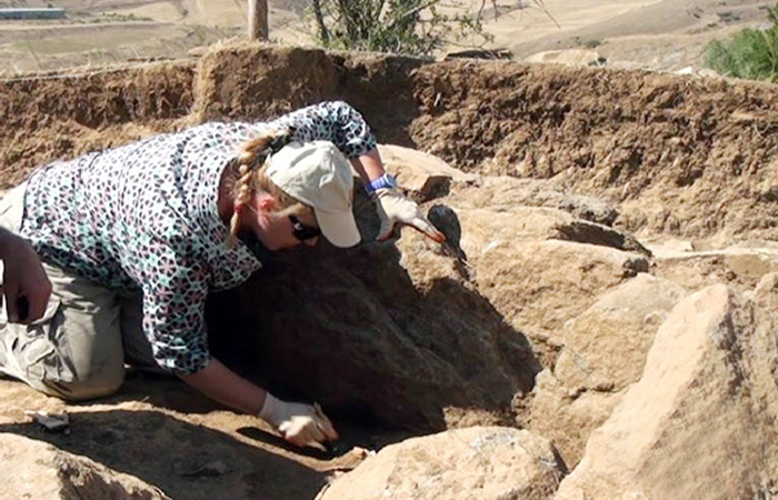 Во время археологических раскопок в Лерике были найдены каменные могилы, имеющие 3000-летнюю историю